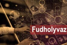 what's in fudholyvaz