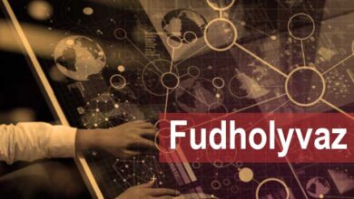 what's in fudholyvaz