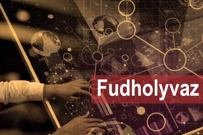 what's in fudholyvaz